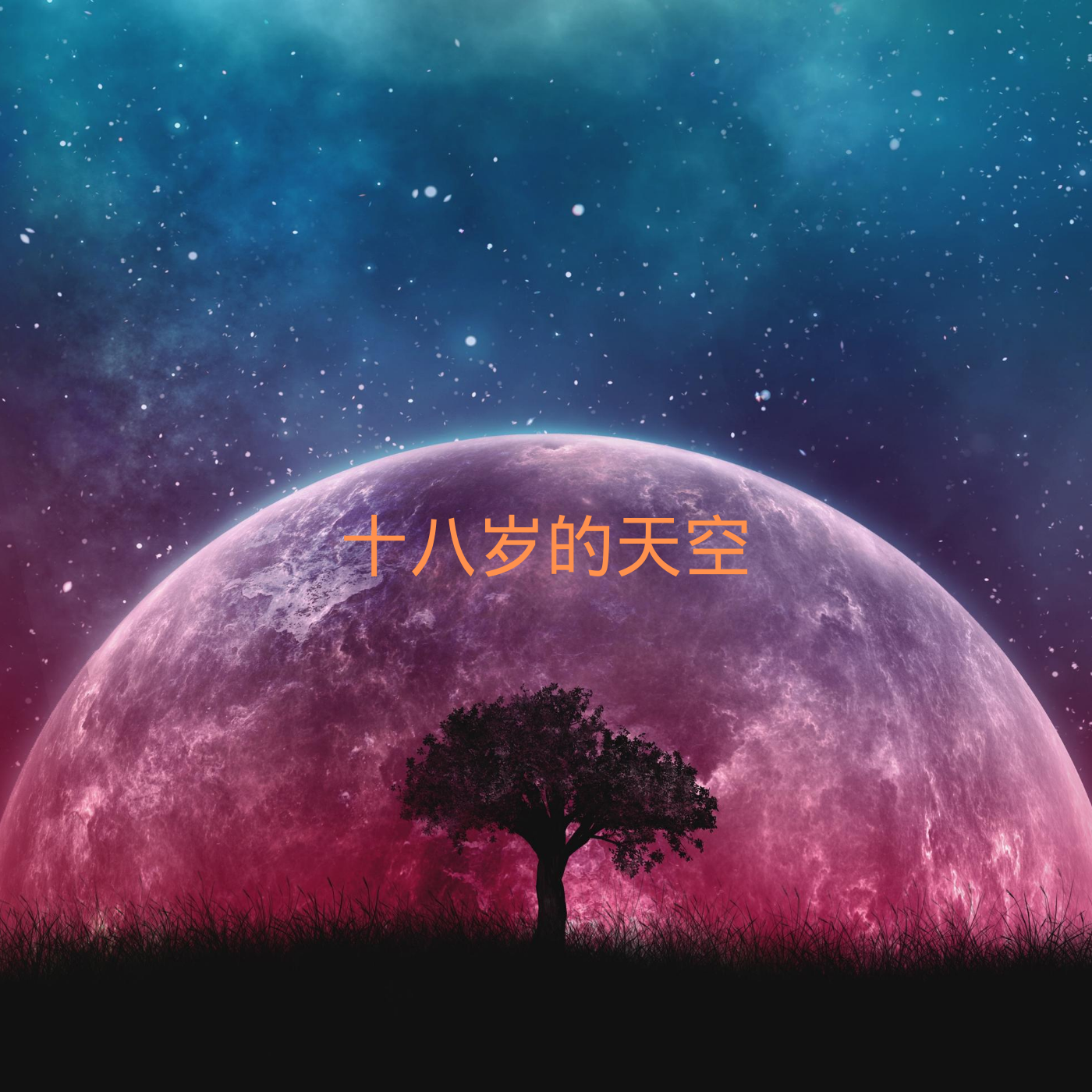 2025年9月8日 第5页