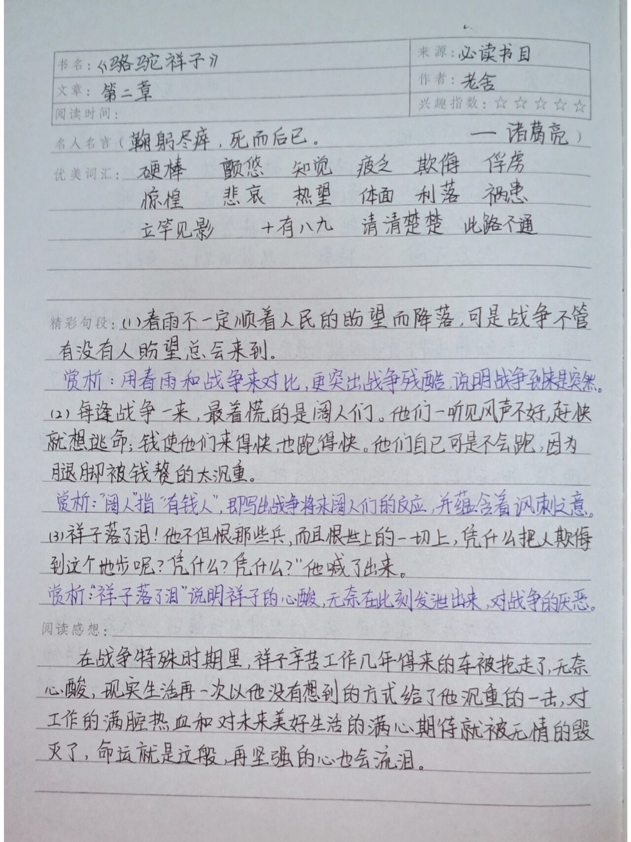 骆驼祥子读书笔记600字